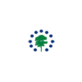 ADANA SARIÇAM 800 / 250.000 SOSYAL KONUT PROJESİ